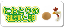 にわとりの種類 卵の種類