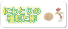 にわとりの種類 卵の種類